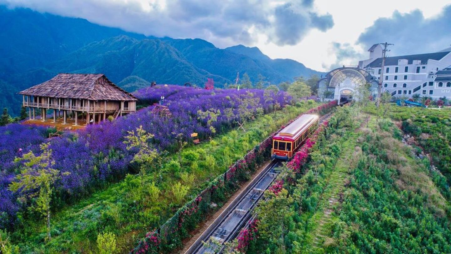 Sapa - Ninh Binh Sapa - Ninh Binh