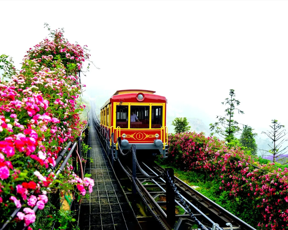 Sapa - Ninh Binh Sapa - Ninh Binh
